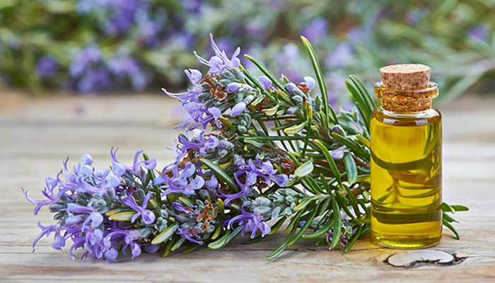 How To Use Essential Oils